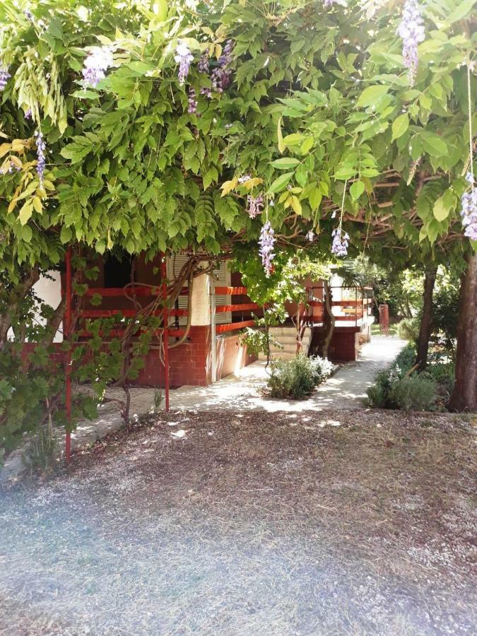 סלינה Apartment Mia מראה חיצוני תמונה